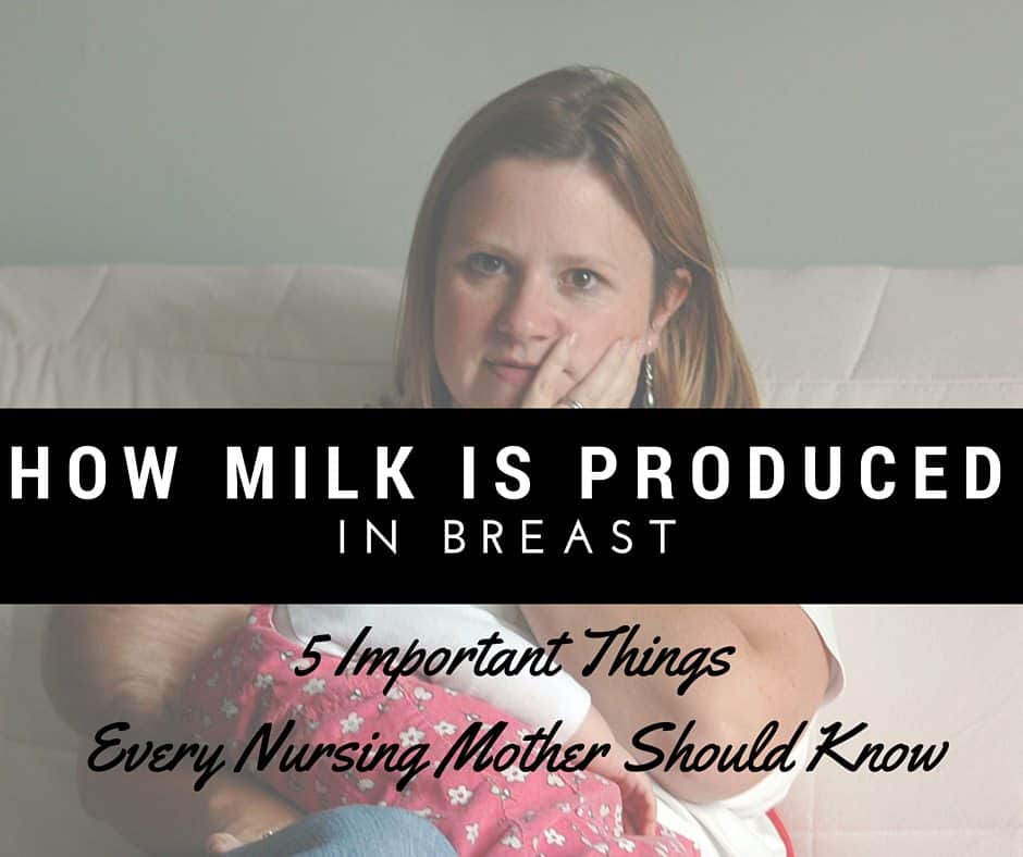 How Milk Is Produced In Breast 5 Things To Know - Living With Low Milk -2628