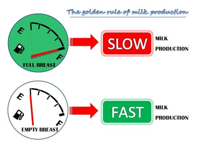 golden-rule-milk-production