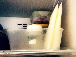 lansinoh space saving freezer