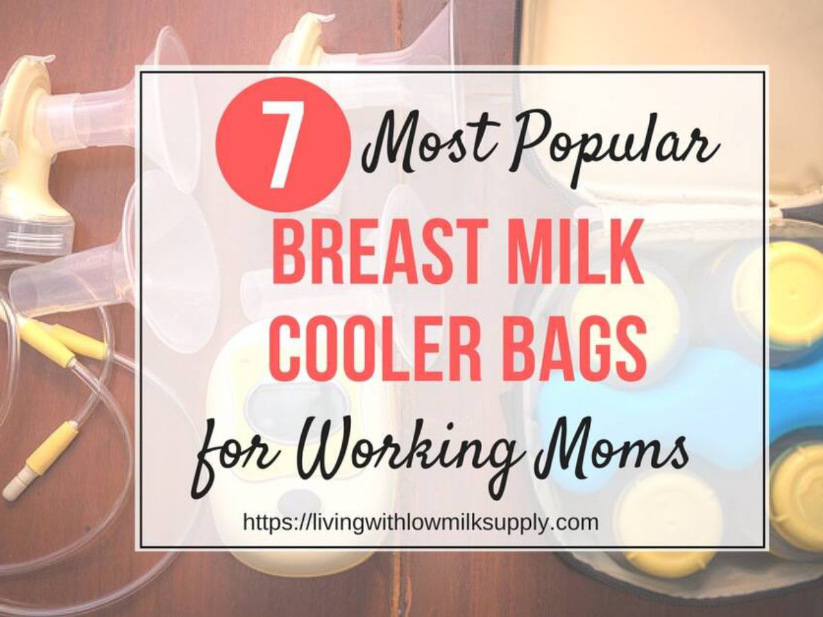 Purple Breast Milk Bottles and More Cooler Bag Bag Only Teamoy Breast Pump Bag Tote with Cooler Compartment for Breast Pump Double Layer Pumping Bag for Working Moms